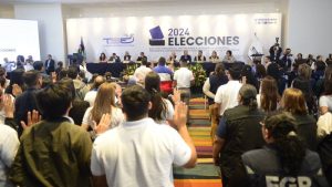 Elecciones 2024 TSE