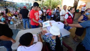 Salir a Votar Elecciones 2024