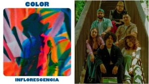 inflorescencia lanza color