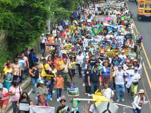 Caminata ecologica desarrollada por organizaciones ambientalistas en torno al Dia del Medio Ambiente.