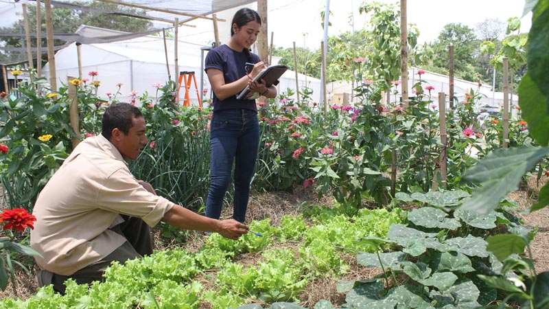 Science and practice to promote sustainable agriculture