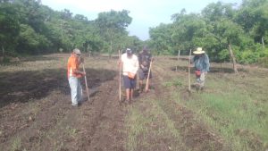 El Ministerio de Agricultura tendrá casi $68 millones menos para operar en 2025