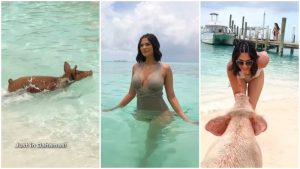 Sheynnis Palacios conocio a los cerdos nadadores de Bahamas