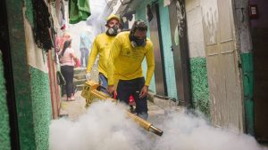 fumigacion San Marcos