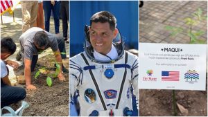 Frank Rubio- maquilishuat. Tin Marin