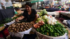 Canasta basica, verduras
