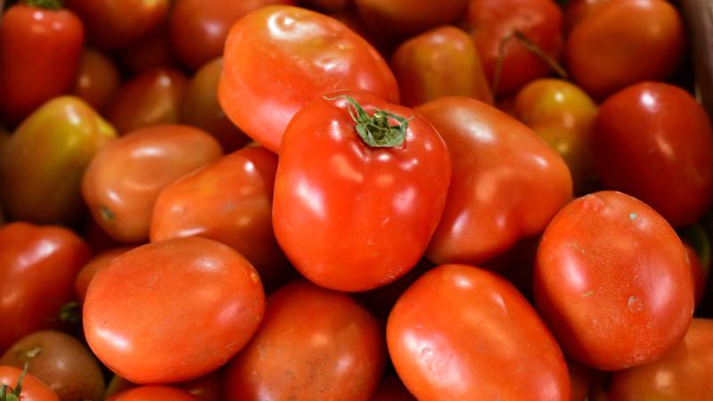 Canasta basica, verduras