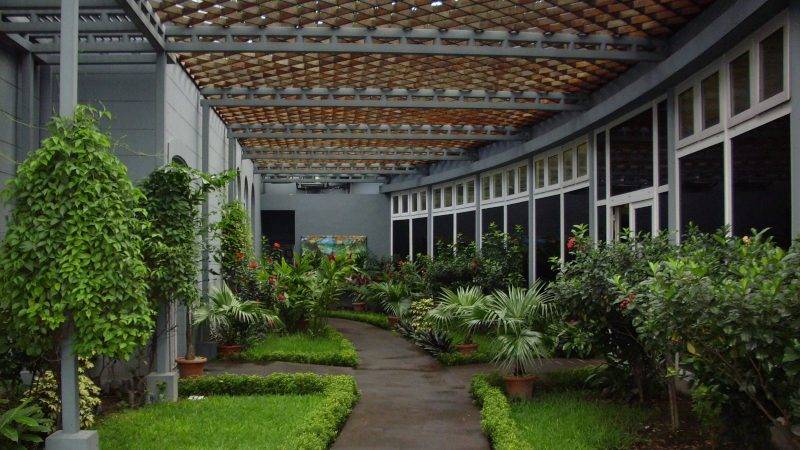 Jardin interior de la Casa de las Academias