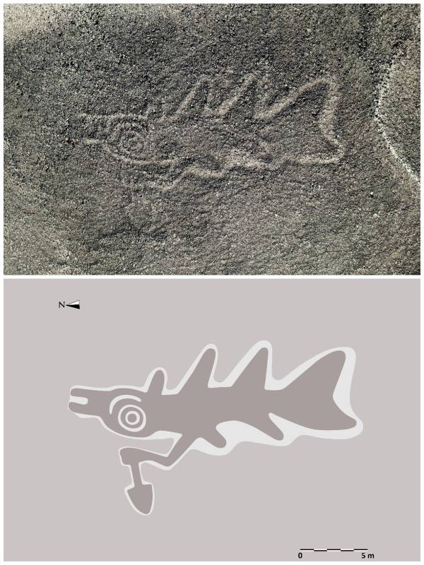 IA permite descubrir nuevas figuras en Nazca, Perú