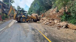 Lluvias provocaron derrumbes y caída de árboles