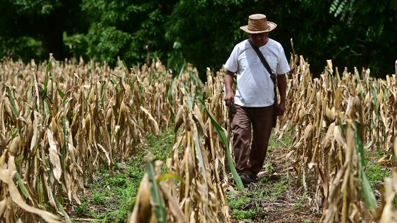 Tata Fidel lanza sus memorias con el Mupi