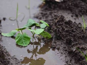 Inundaciones en Puerto Parada, Usulutan