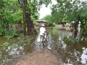 Cómo la pérdida de bosques puede aumentar las inundaciones