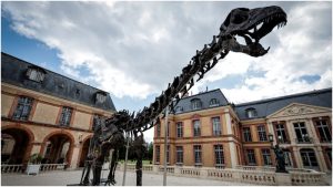 Vulcain- esqueleto- gigante - dinosaurio