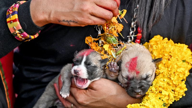 Las imágenes de este festival han dado la vuelta al mundo. Foto: AFP