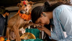 dia del perro nepal 6