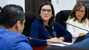 Maria Luisa Hayem, ministra de Economía en Comisión de Hacienda