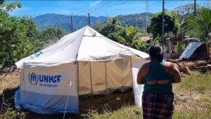 Carpa