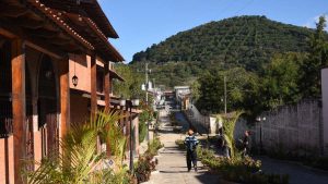 Renovaciones y nuevos atractivos: ¿Qué hacer en la Ruta de las Flores?