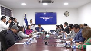 Viceministra de Relaciones Exteriores en Comisión de Hacienda