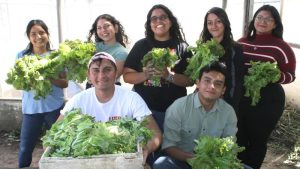 Jóvenes con los cultivos