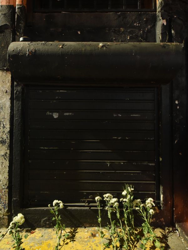 La convocatoria invitó a los usuarios a llevar flores, velas y música para conmemorar el lugar. Foto EDH/ Menly González