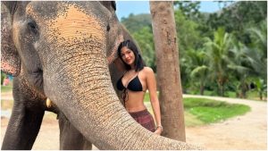 Sheynnis Palacios- Tailandia- saturio elefantes