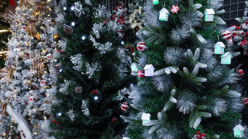 El protagonista de las fiestas navideñas. Foto: AFP