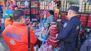 inspeccion venta polvora