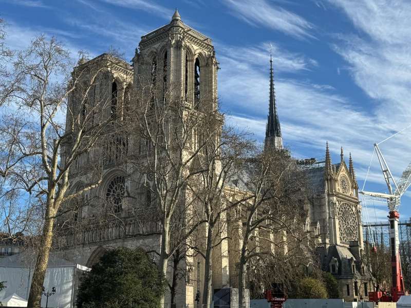 Catedral de Notre Dame en París