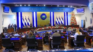 Salón Azul sesión plenaria diciembre 2024