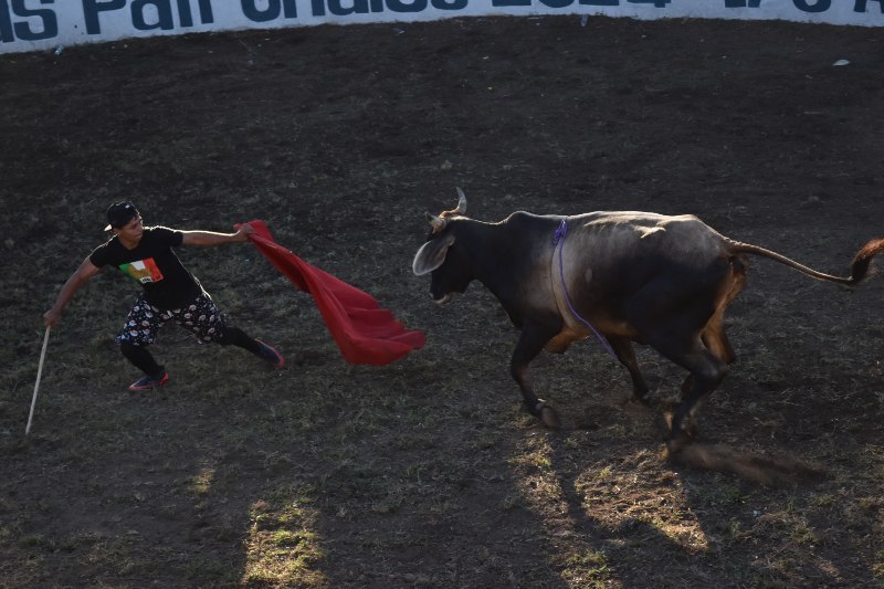 Durante sus fiestas patronales en diciembre, sus habitantes se reúnen en la plaza de toros para disfrutar de eventos taurinos. | Fotos: EDH / Óscar Orellana