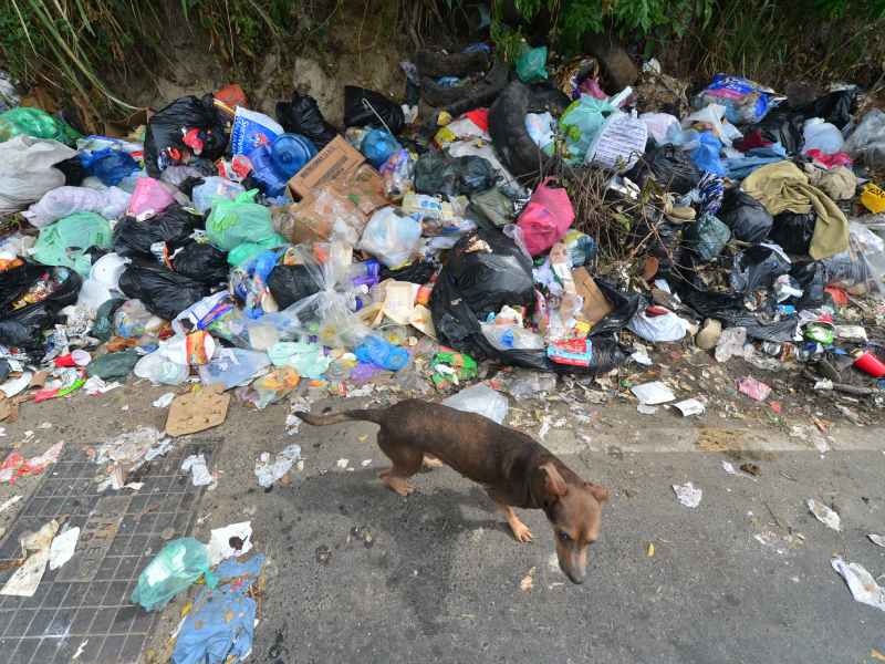 Basura acumulada en varios puntos de Mejicanos y San Salvador.