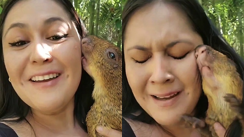 Mabel Figueroa se emocionó mucho al cargar por primera vez a una cotuza. / 