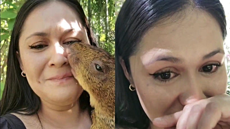 Tiktoker chinea cotuza
