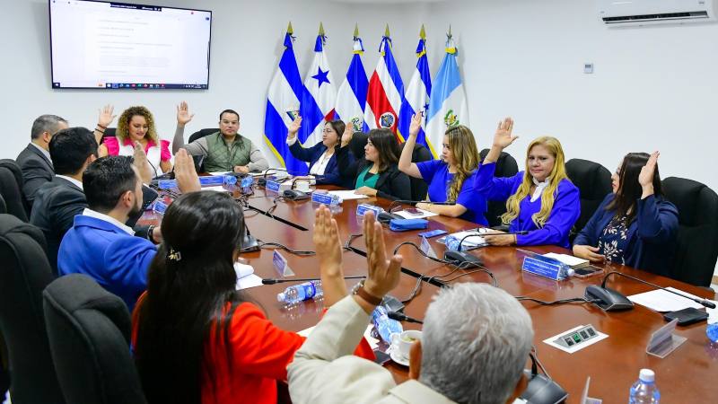 Comisión de Salvadoreños en el Exterior Legislación y Gobierno avala ratificación de acuerdo con la India. Cortesía.