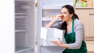 Mal olor en el refrigerador
