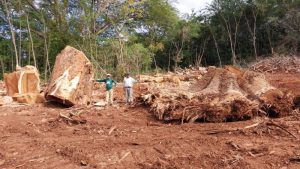 Condadillo proyecto aeropuerto