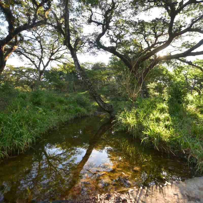 mineria metalica san isidro cabanas