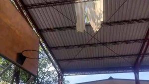 se cae profesor Juan Antonio Cruz