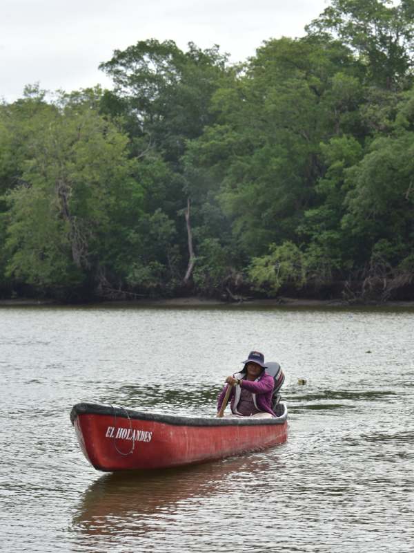 Estero de Jaltepeque, humedal declarado como sitio Ramsar en 2011. Ecosistemas, naturaleza, contaminacion, aves migratorias, aves, peces