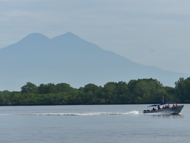 Estero de Jaltepeque, humedal declarado como sitio Ramsar en 2011. Ecosistemas, naturaleza, contaminacion, aves migratorias, aves, peces