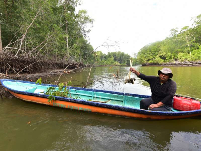 Estero de Jaltepeque, humedal declarado como sitio Ramsar en 2011. Ecosistemas, naturaleza, contaminacion, aves migratorias, aves, peces