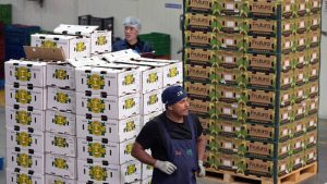 Aguacate mexicano-Super Bowl pese a amenazas de Trump