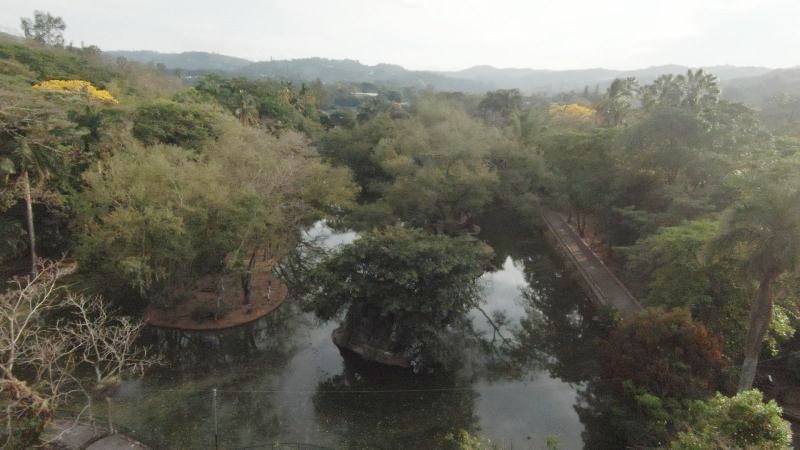 Tres años desde el cierre del parque Zoológico Nacional por parte del gobierno de Nayib Bukele.