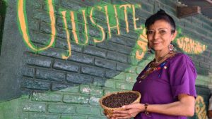 Semilla Ojushte Mana Ojushte San Isidro Izalco