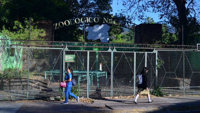 Tres años desde el cierre del parque Zoológico Nacional por parte del gobierno de Nayib Bukele.