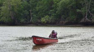 La importancia de preservar estos sitios es también cuidar el habitat de decenas de especies como aves y acuáticas.
