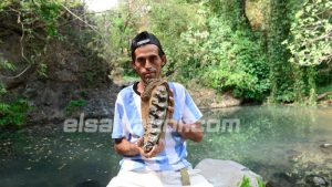 JO--Osamenta-de-Mastodonte-en-Apastepeque-el-panameno 01