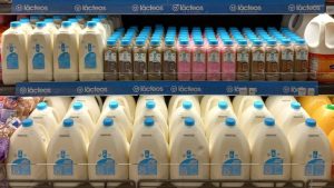 Lacteos-El Salvador-Comercialización-Empresas-Privadas-GOES